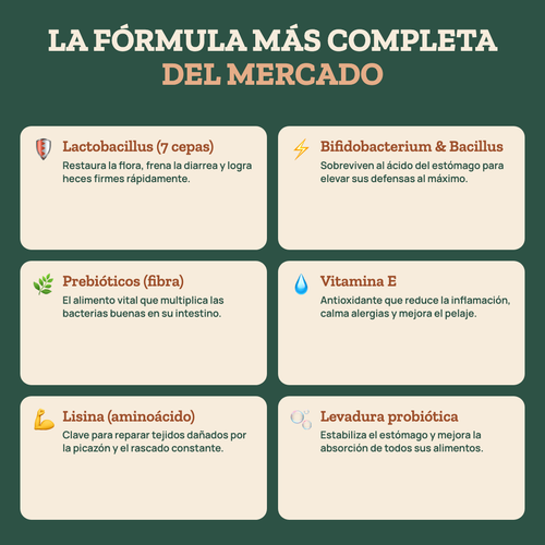 Vinko - Probioticos para tu Mejor Amigo